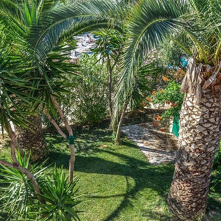 Olive Grove Apts Lithakia  Bagian luar foto