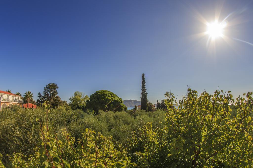 Olive Grove Apts Lithakia  Ruang foto