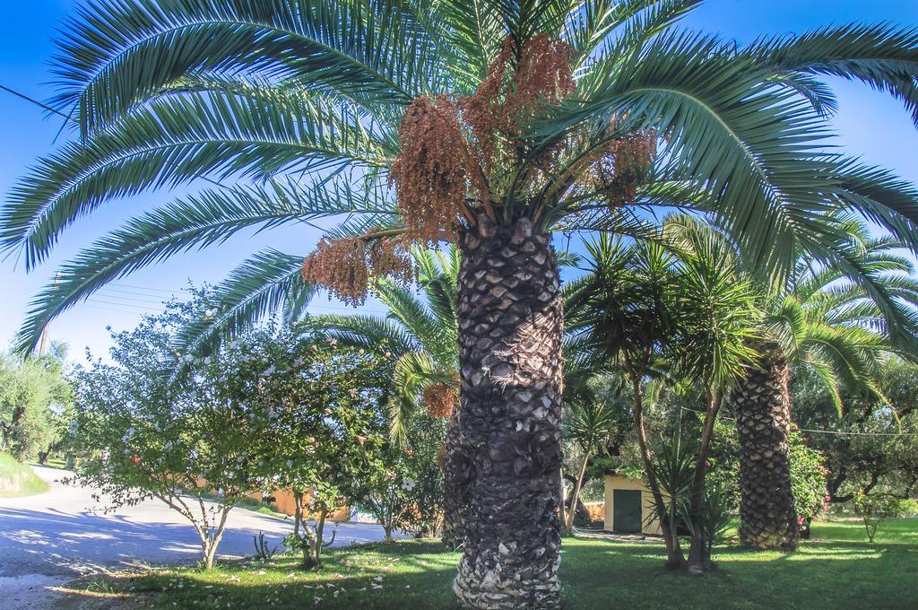 Olive Grove Apts Lithakia  Ruang foto