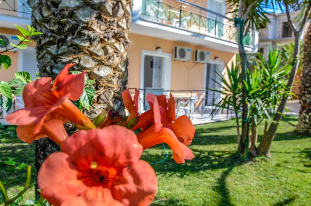 Olive Grove Apts Lithakia  Bagian luar foto