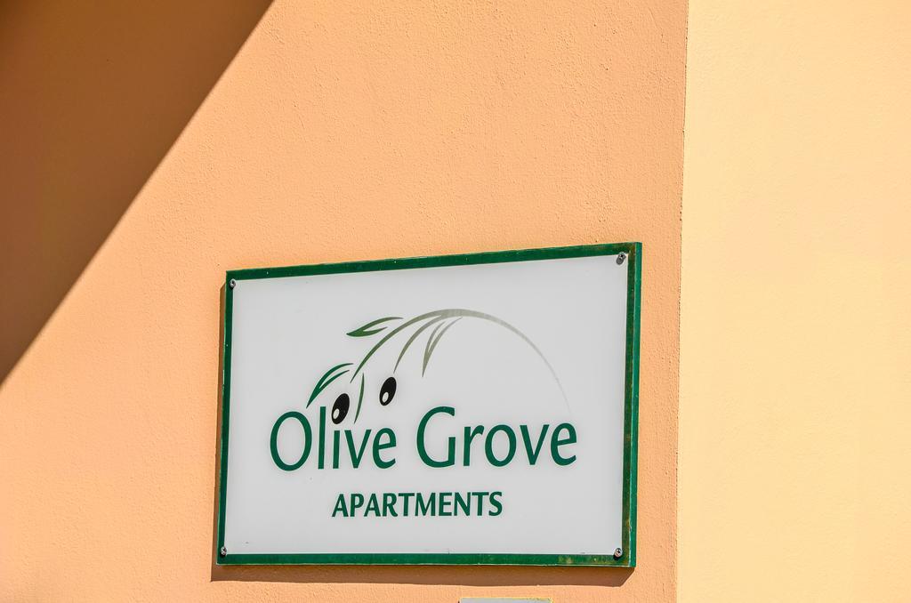 Olive Grove Apts Lithakia  Bagian luar foto
